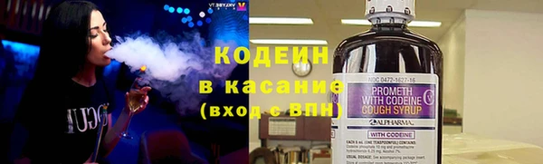 стафф Гусев