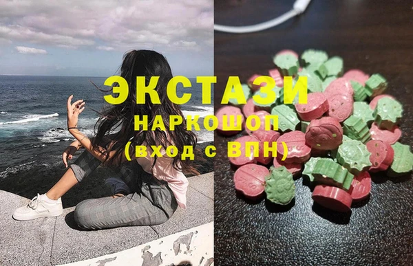 стафф Гусев