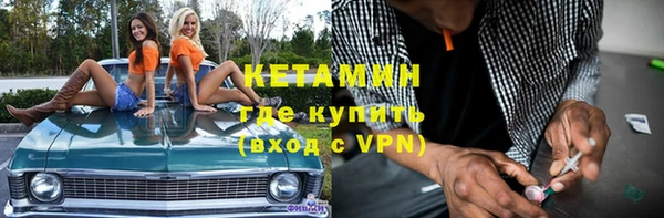 стафф Гусев