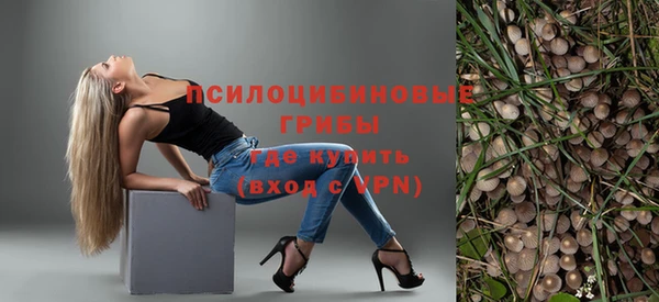 молекула духа Гусиноозёрск