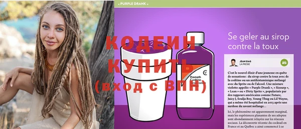 стафф Гусев