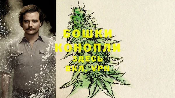 стафф Гусев